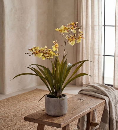 Artificial Yellow Orchid & Pot