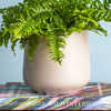 Taupe Matte Pot 14cm