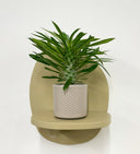 Taupe Pot