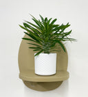 White Pot