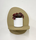 White Pot