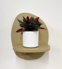 White Pot