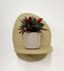 Taupe Pot