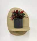 Grey Pot