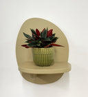 Green Pot