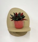 Pink Pot