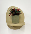 Khaki Pot