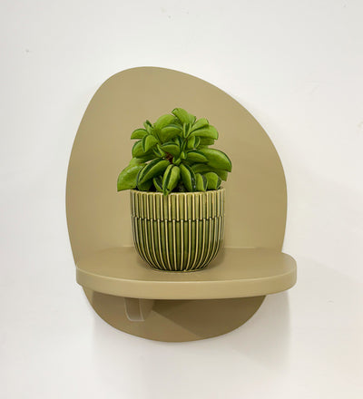 Mini Taco Plant & Pot