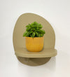 Mini Taco Plant & Pot