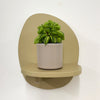 Mini Taco Plant & Pot