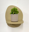 Mini Taco Plant & Pot