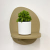 Mini Taco Plant & Pot