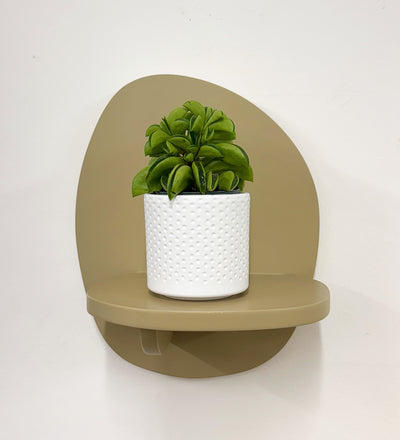 Mini Taco Plant & Pot