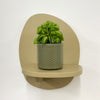 Mini Taco Plant & Pot