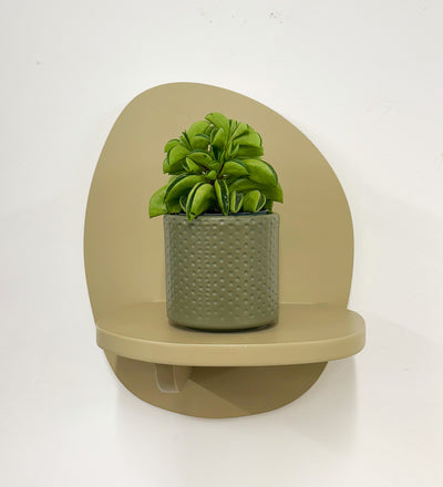 Mini Taco Plant & Pot