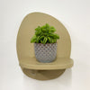 Mini Taco Plant & Pot