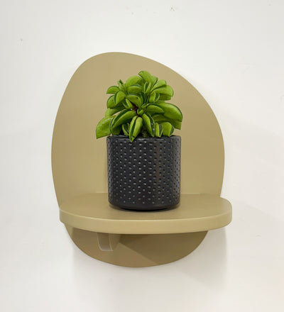 Mini Taco Plant & Pot