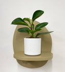 White Pot