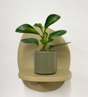 Khaki Pot
