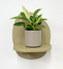 Taupe Pot