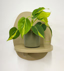 Khaki Pot