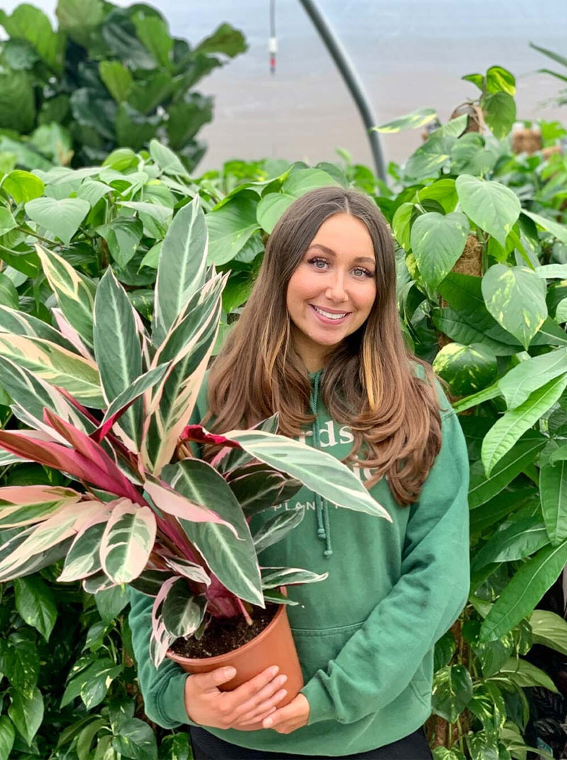 Meet the plant & flower folk