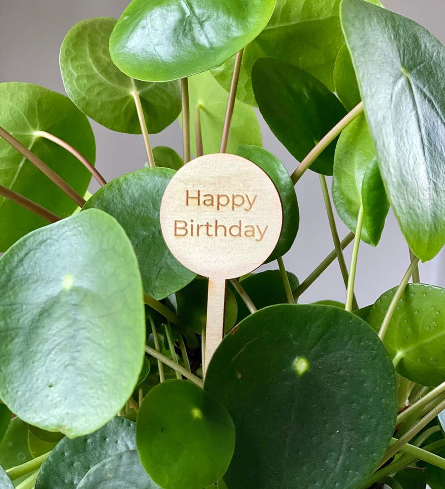 Happy Birthday Plant Pick
