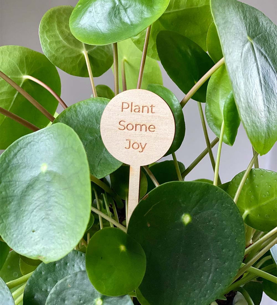 Plant Some Joy Plant Pick
