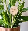 Thank You Plant Pick