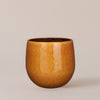 Ochre Pablo Pot 14cm