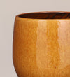 Ochre Plant Pot 14cm