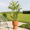 Artificial Palm (UV protected)