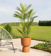 Artificial Palm (UV protected)
