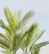 Artificial Palm (UV protected)