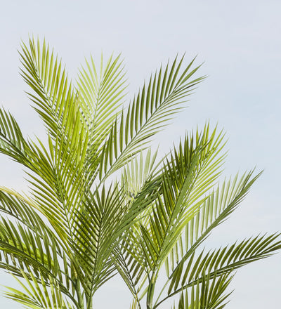 Artificial Palm (UV protected)
