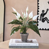 Artificial Peace Lily