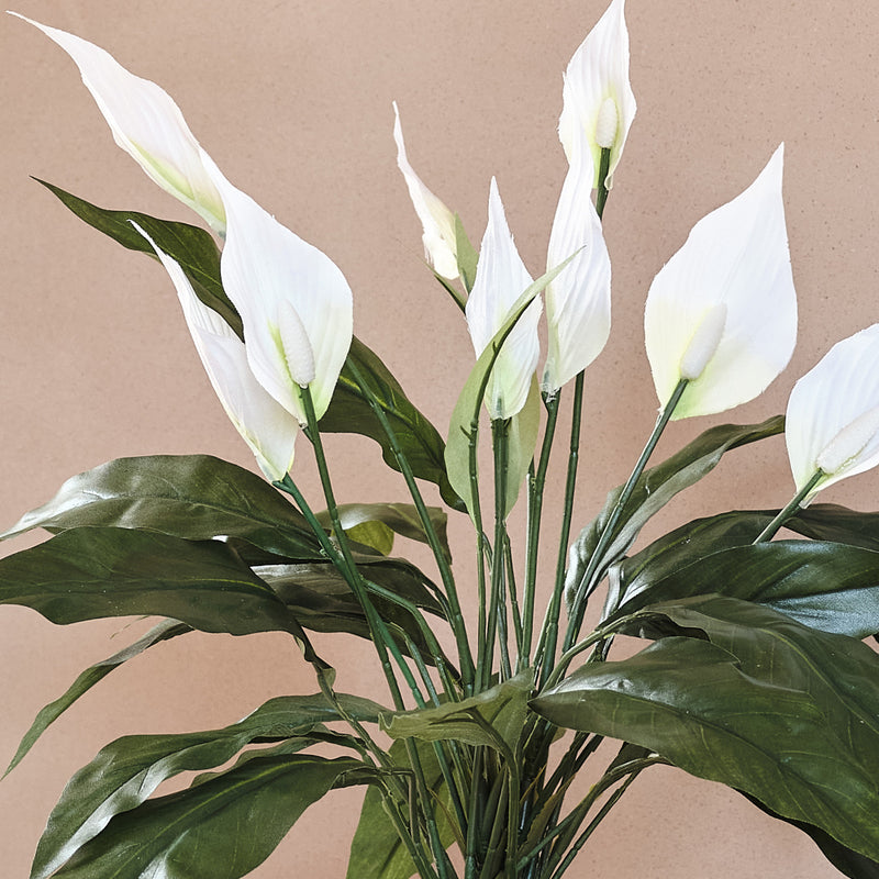 Artificial Peace Lily
