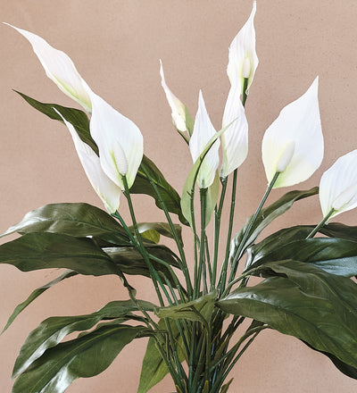 Artificial Peace Lily