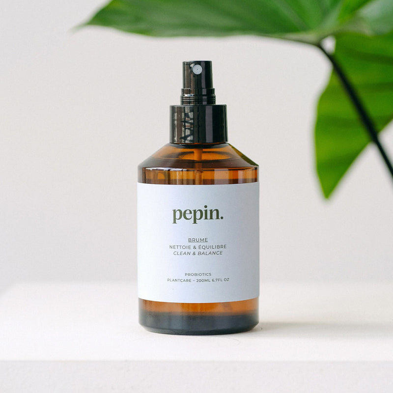 Pepin Cleansing Mist