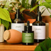 Pepin Plant Care Routine Gift Set