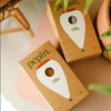Pepin Hydrating Olla Terracotta