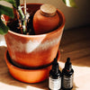 Pepin Hydrating Olla Terracotta