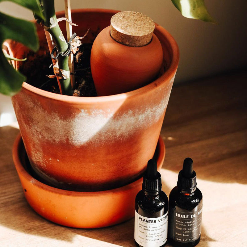 Pepin Hydrating Olla Terracotta