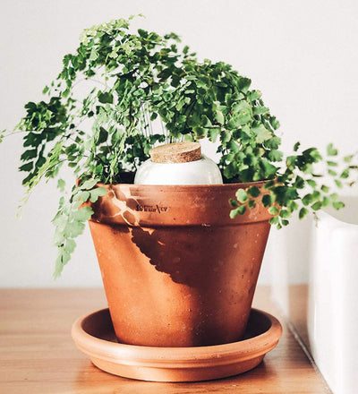 Pepin Hydrating Olla White Speckle