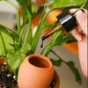 Pepin Hydrating Olla Terracotta
