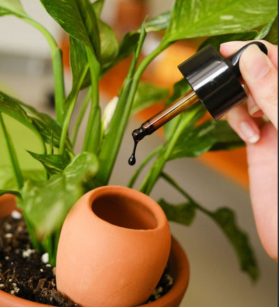 Pepin Hydrating Olla White Speckle