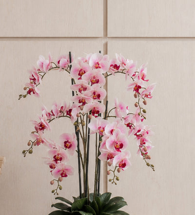 Artificial Pink Orchid & Pot