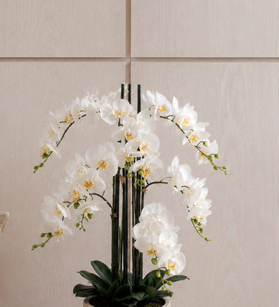 Artificial White Orchid & Pot