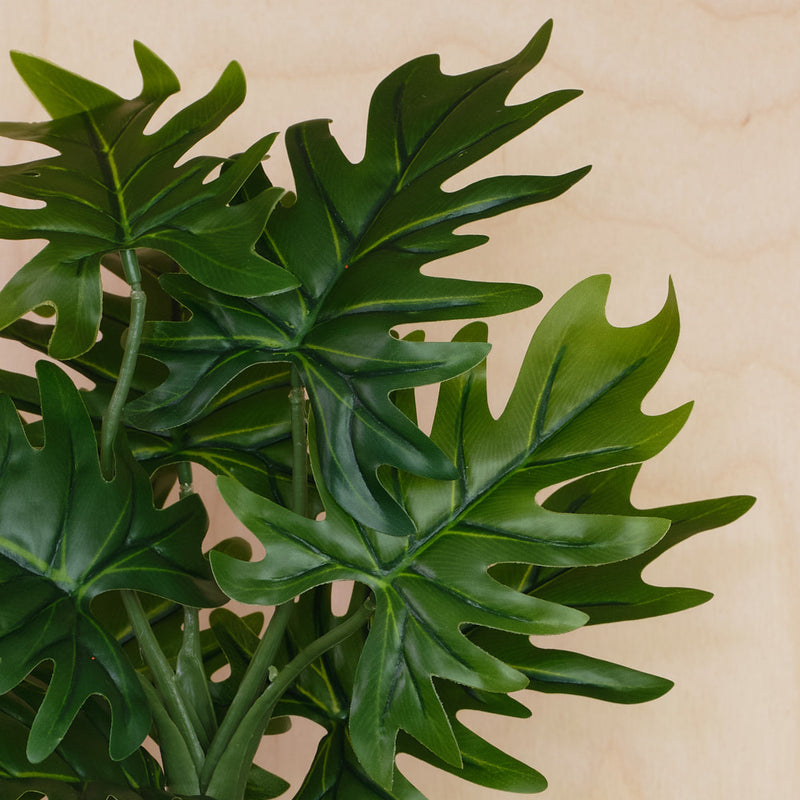 Artificial Philodendron