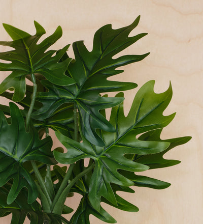 Artificial Philodendron